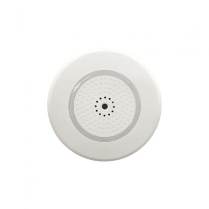 Security Microphone