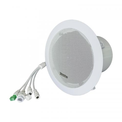 IP Ceiling Speaker